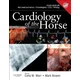 Cardiology of the Horse