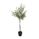 MID.YOU Umetna Rastlina Olive