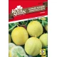 ROYAL SEEDS seme 150 Kumara rumena Lemon