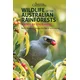Wildlife of the Australian Rainforests