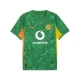 PUMA Borussia Dortmund 25/26 Goalkeeper Short Sleeve Jersey Men, Sport, Archive Green/Intense Orange, XXL