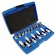 Silver Komplet srebrnih nastavkov Torx, 19 kosov
