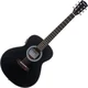 Pasadena PT-100E Black Ostale elektro-akustične