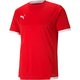 Dres Puma teamLIGA Jersey