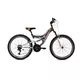 Capriolo CTX 240 MTB 24/18HT brdski bicikl, sivo-narančasti