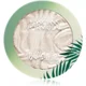 Physicians Formula Murumuru Butter osvetljevalec 5 g odtenek Pearl Perle