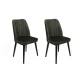 Hanah Home Set trpezarijskih stolica Alfa 432 V2, 2 komada, Zeleni