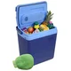 CATTARA hladilna torba Alpicool Blue 25l, 230V/12V