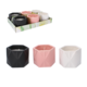 Garden Line Dekorativna sveča citronela Loks 11,5 x 9 cm mešanica barv 1 kos