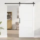 vidaXL Notranja vrata Bela 93 x 202 cm Vezani les