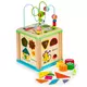 Lesena poučna kocka za razvrščanje + plošča za razvrščanje Ecotoys