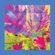 The Reds, Pinks And Purples - The Past Is A Garden I Never Fed (Limited Edition) (Sky Blue Coloured) (LP)