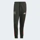 ADIDAS PERFORMANCE Športne hlače Audi Formula One Team DNA temno siva/rdeča/bela