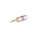 Adapter za stereo vtič Jack 3.5 - stereo vtičnico microjack 2.5 vitalco (P1)