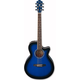 IBANEZ elektro-akustična kitara AEG10E TBS