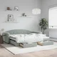 Greatstore Izvlečna dnevna postelja s predali svetlo siva 90x190 cm žamet