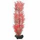 Tetra akvarijska rastlina – Red Foxtail M, 23 cm