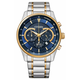 CITIZEN AN8194-51L