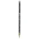 shumee Pisalo za iPad 4smarts Active Stylus Pencil Pro prozorno
