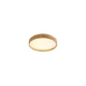 Rabalux Plafonjera Leana2, LED 12W, D26cm, Breskva