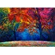 Grafika - Puzzle Autumn forest/0614/- 2 000 kosov