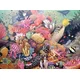 Ravensburger - Puzzle Oceana - podvodni svet - 500 kosov