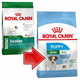 ROYAL CANIN Hrana za pse Mini Puppy 0.8kg
