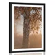 Plakat s paspartujem megleni jesenski gozd - 30x45 black