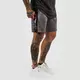 GymBeam Kratke hlače Vertical Grey