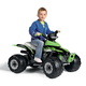 Quad Corral T-Rex 330W 12V – green