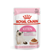 Royal Canin Kitten Gravy - mokra hrana za mačiće 12 x 85 g