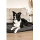 Paws & Whiskers Krevet za ljubimce Sally Dog, 55x75x8 cm, Antracit