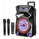 XPLORE prenosni karaoke sistem DANZA XP8812, 600W