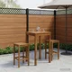 vidaXL Vrtni Bar Miza Naravna 60 x 60,5 x 105 cm Masiven les akacije