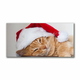 tulup.si Slika na platnu Cat Cap Santa Claus 50x50 cm