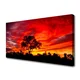 tulup.si Slika na platnu Forest landscape nature 125x50 cm