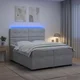 vidaXL Postelja boxspring z vzmetnico Svetlo siva 200 x 200 cm Žamet