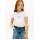 TOMMY HILFIGER Majica mornarska / rdeča / transparentna / bela
