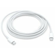 Apple iPad/iPhone/iPod kabel za prijenos podataka i punjenje [1x USB-C™ utikač - 1x USB-C™ utikač] 2 m bijeli, Apple