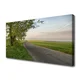 tulup.si Slika na platnu Way tree grass landscape 140x70 cm