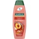 PALMOLIVE Šampon za kosu 2 in 1 Hydra Balance 350ml