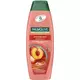 PALMOLIVE Šampon za kosu 2 in 1 Hydra Balance 350ml