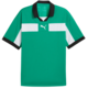 Dres Puma teamCLASSIC Match Jersey
