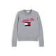 TOMMY HILFIGER Pulover mornarska/siva/rdeča/bela