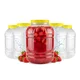shumee 5x Posoda JAR 5l Plastični VEČNAMENSKI kozarci za likerje in hrano