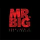 Mr Big - Lean Into It - The Singles (Box Set) (Coloured) (5 x 7 Single)