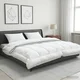 vidaXL Set odeje in blazine 3 pcs 200x220 cm 4 letni časi 140+220 GSM