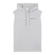 Champion Authentic Athletic Apparel Majica pegasto siva