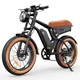 ISINWHEEL Električno kolo iSinwheel R6 - 20 Fat Bike - 250 W 48 V 13 Ah - rjava, (21960408)