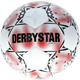 Lopta Derbystar Derbystar United APS v21 Ball